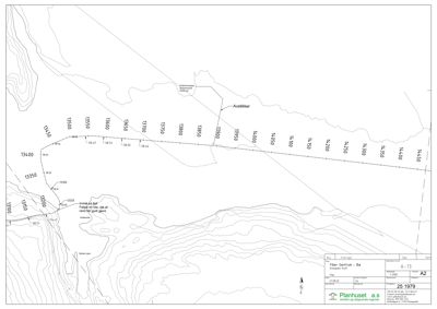 Situasjonsplan som viser terrengform (konturlinjer), høydemål, og en planlagt vei med avstandsmål.