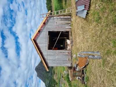 Fotografi av en gammel, rusten skur eller uthus i en grønn, kupert landskap.