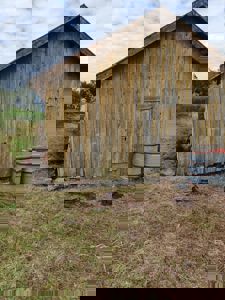 Fotografi av en gammel, trepanelert uthus eller skur sett fra siden.