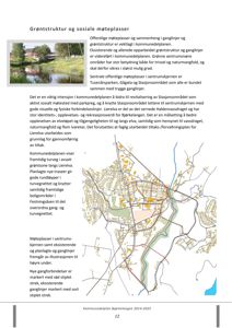 En situasjonsplan eller kart fra en kommuneplan som viser planlagte turveier, ganglinjer og grønne områder i Lierleva.