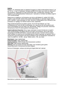 Et situasjonskart som viser ei ny planlagt atkomst (rød strek) og eksisterende atkomst (blå strek) til ei hønsehusanlegg.