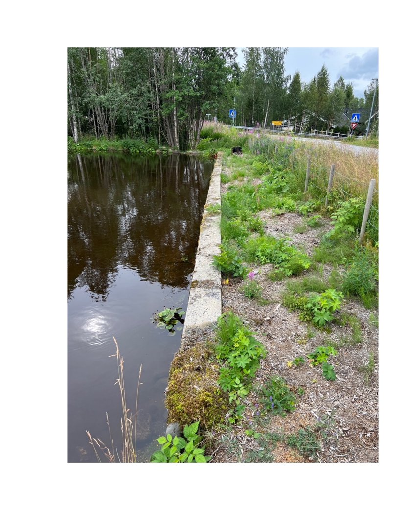 Fotografi av en utendørs scene med vann, vegetasjon og en betongmur.
