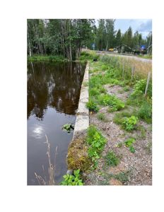 Fotografi av en utendørs scene med vann, vegetasjon og en betongmur.