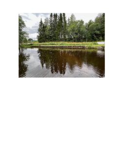 Fotografi av en vannflate med skog i bakgrunnen.