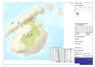 Situasjonsplan som viser tomtens beliggenhet, omgivende terreng, vannmasser og eksisterende bebyggelse med arealoppdeling.
