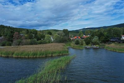 Fotografi av et naturområde med vann, reir, skog og boliger i bakgrunnen.