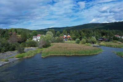 Fotografi av et naturområde med vann, vegetasjon og flere hus i bakgrunnen.