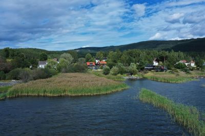 Fotografi av et naturskjønt landskap med vann, reir, skog og hus i bakgrunnen.