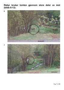 Fotografier av en tomt med skog og en elg, inkludert en sirkel rundt dyret og datostempler.