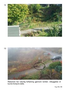 Fotografier av to rådyr på en tomt, med en tekstbeskrivelse om at utbygging kan forstyrre deres forflytning.