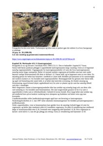 Et fotografi tatt fra en bro over en bekke som viser en trafostasjon og en parkert bil i bakgrunnen.