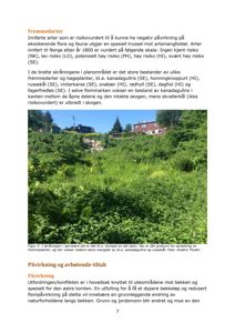 Fotografi av et skråningsområde med vegetasjon, inkludert fremmedarter som kanadagullris og russekål, samt en del stein og en dumpet bil i bakgrunnen.