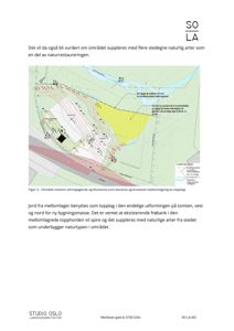 Situasjonsplan som viser terrengforhold, bevaringsområder (grønnfarget) og bruksarealer (rødfarget) på tomten.