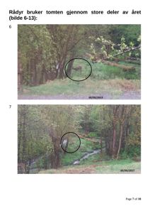 Fotografier av en tomt med rådyr, inkludert datoer og tekster om tomtebruk.