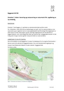 Situasjonsplan som viser tomtens beliggenhet i forhold til bekke og flommark, samt sikringstiltak og bevaringsområder.