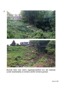 Fotografier av tomtens vegetasjon før og under bearbeidelse, inkludert nabostruktur.