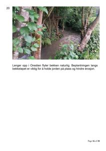 Fotografi av en bekke i Orestien med omgivende beplantning.