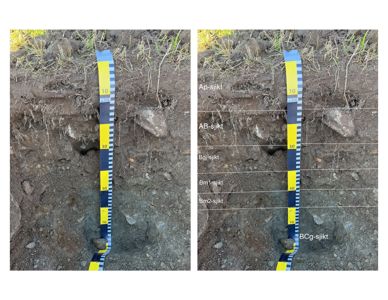 Fotografier av et sjiktprøvetaking (geologisk undersøkelse) med målebånd og markeringer for ulike jordlag.