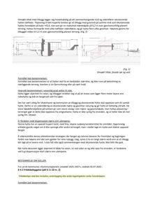 Bildet viser to fasadetegninger (opprikk) av en hytte sett fra sør og vest, inkludert høydeangivelser og formgivningsbeskrivelser.
