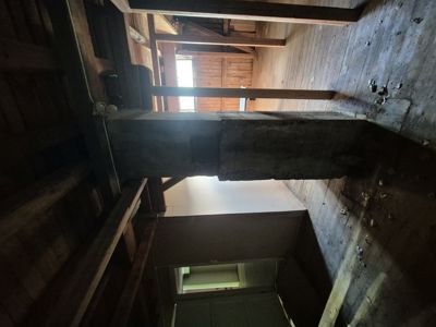 Fotografi av en eksisterende bygning sett fra et underetasje eller kjellerrom oppover mot taket, med fokus på en betongbjelke og trær.