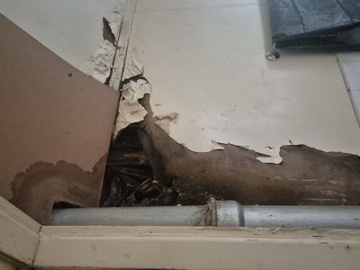 Fotografi av en skadet innvendig vegg med opprullet tapet, mørk fuktighetsskade og eksponert konstruksjon.