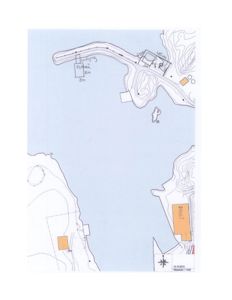 Situasjonsplan som viser tomtens beliggenhet, topografi (høydekurver), vannkropp og plassering av eksisterende eller planlagte bygninger.