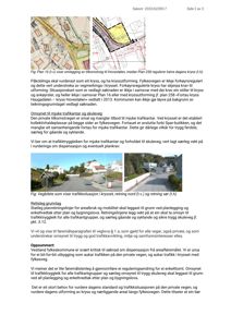 Bildet viser en situasjonsplan eller et kart over et kryss (Hovestølen) med gater, eiendommer og arealbruk markert. Det er også en bildebeskrivelse som refererer til 'Vegbilete som viser trafikk situasjon'.