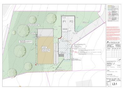 Situasjonsplan som viser tomtens grenser, beplantning, veier og bygningers plassering.
