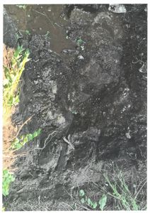 Fotografi av et grøftede eller utgravet område med jord, steiner og vegetasjon.