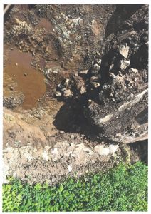 Fotografi av en utgravet grøft eller graving på en byggeplass, med synlig jord, steiner og vann.