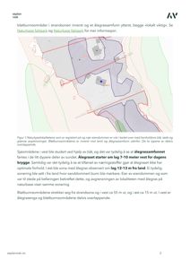Kart som viser naturtypelokaliteter og avgrensninger på og nær eiendommen.