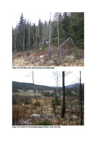 Fotografier av et område med skog og utsikt, sannsynligvis fra en byggesak eller rapport om et tunnelhuggområde.