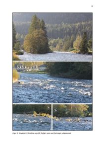Fotografier av et strykparti i elva Stordåne, som viser vannet og omgivelsene.