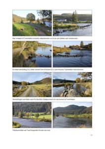 Fotografier av et utvalgte område (Tweitaheien) med beskrivende tekster om vannføring og steinfylling.
