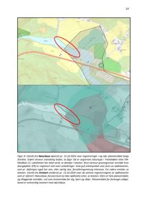 Kartutsnitt (Naturbase og Artskart) som viser topografi, vannløp og registrerte arter i et planområde.