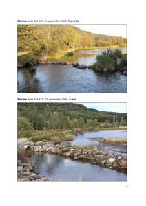 Fotografier av Storåna elv med vannføringsmålinger fra 2024 og 2009.