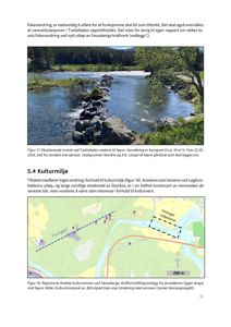 Fotografi av eksisterende inntak ved Tveitahølen med vannføring og omgivende natur.