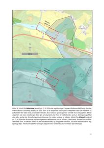 Et kartutsnitt (Artskart) som viser topografi, vegetasjon og et definert tiltaksområde med overlappende polygoner.