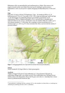 Situasjonsplan som viser plassering av Gipa kraftverk, midlertidig og permanent veg, røyrgate og elveleier i terrenget.
