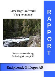 Et fotografi av en elv i et skogområde, som er inkludert i en rapport om konsekvensvurdering for Føssaberge kraftverk.