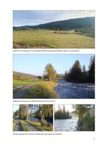 Fotografier av utsikt, en utløpskanal og en gårdsvei i et naturområde.