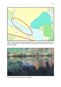 Bildet viser en situasjonsplan (kart) over et naturområde med vannløp og terrengforhold, samt et fotografi av beitedyr ved samme sted.