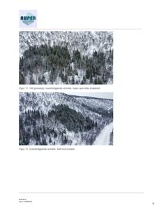 Fotografier av et overliggende granskogsområde med snødekke, inkludert tekster som beskriver området.