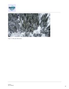 Fotografi av et skogområde sett fra luften (dronebilde) med snødekte trær og skredspor.