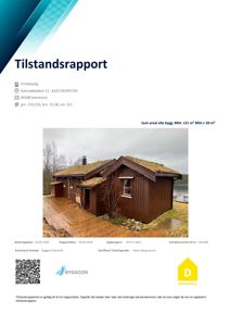 Fotografi av en fritidsbolig med grønt tak, sett fra siden. Bildet er inkludert i en tilstandsrapport.