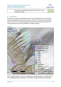 Registreringskart som viser utbredelsen av skredavsetningene i området, inkludert kartleggingsområde, påvirkningsområde, dreneringsanalyse og ulike typer skred.