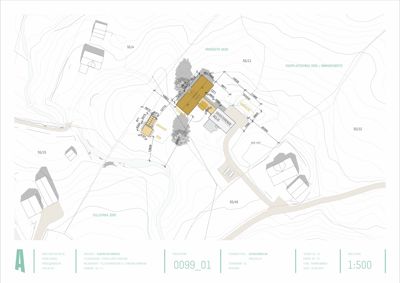 Situasjonsplan som viser bygningenes plassering i forhold til terrenget, veier og naboeiendommer.
