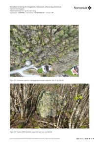 Dokumentet inneholder to fotografier: et luftfoto (Figur 31) og et nærbilde av en steinblokk (Figur 32). Begge er dokumentasjon fra en skredfarevurdering.