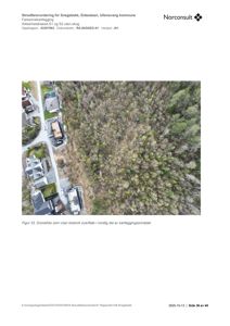 Dronefoto som viser blokkrik overflate i nordlig del av kartleggingsområdet.