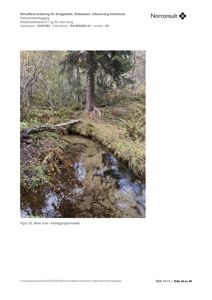 Fotografi av en bekke (Snegebekk) i et skogsmiljø, inkludert en liten bro.